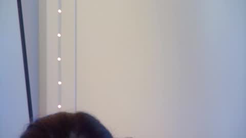 GentleRossi online show from 10.01.25