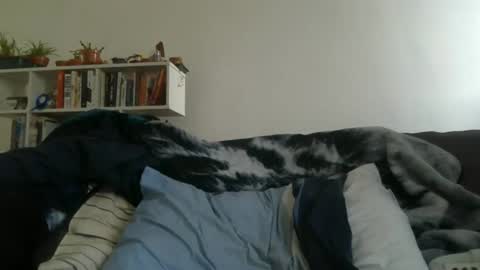 Geon online show from 03.27.26