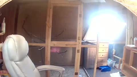 germany_50 online show from 09.20.25