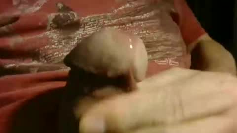 gettingstiff online show from 01.12.26