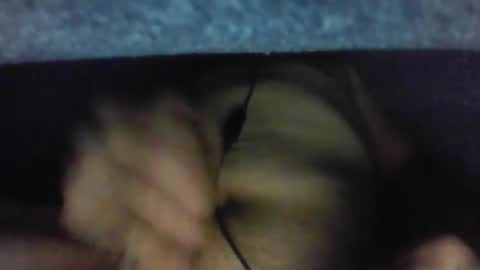 gezuz42069 online show from 03.31.26