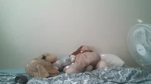 ghansberger2 online show from 03.11.26