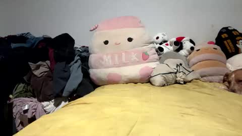 ghastgirlt_t online show from 03.28.26