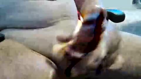 ghost1805 online show from 11.10.25