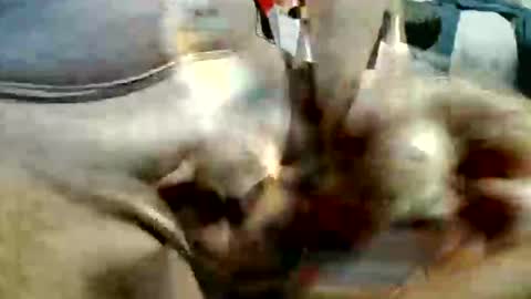 ghost1805 online show from 11.20.25