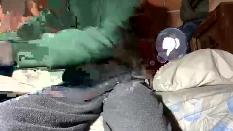 Corrado online show from 01.12.25