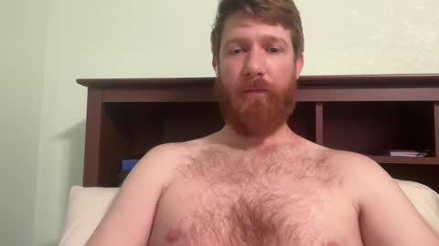 gingermania10 online show from 12.04.24