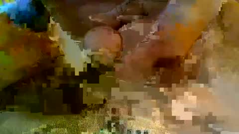 girafsnoop online show from 01.05.25