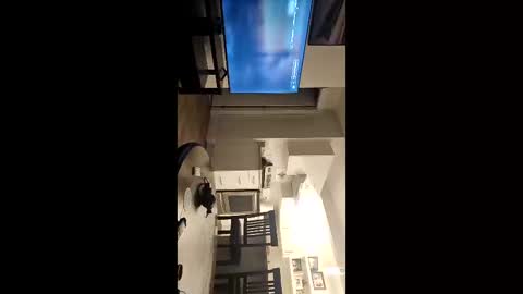 Snapshot of girthylax51 chatting on 11.09.25 BIG K online show from 11.09.25