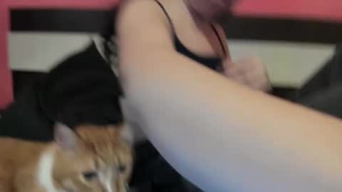 Gisella online show from 01.10.25