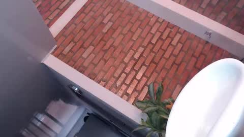 daniela online show from 11.09.25