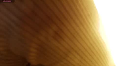 M A R T I N A  online show from 01.12.26