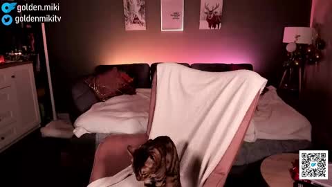 Snapshot of golden_miki chatting on 02.02.25 Shy in the streets but a freak in the sheets online show from 02.02.25