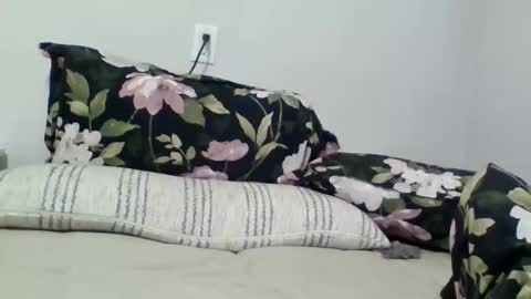 lightskingirl19 online show from 04.10.26