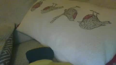 Snapshot of gooner_brit chatting on 02.22.25 gooner_brit online show from 02.22.25