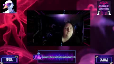 Snapshot of goooooooose chatting on 02.12.25 Goooooooose online show from 02.12.25