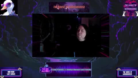 Snapshot of goooooooose chatting on 02.13.25 Goooooooose online show from 02.13.25