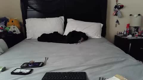 Snapshot of gothbaby305 chatting on 10.29.25 gothbaby305 online show from 10.29.25