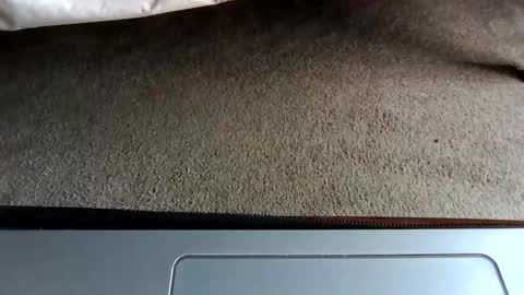 Snapshot of gowiththeflow37 chatting on 05.03.26 watch me stroke online show from 05.03.26