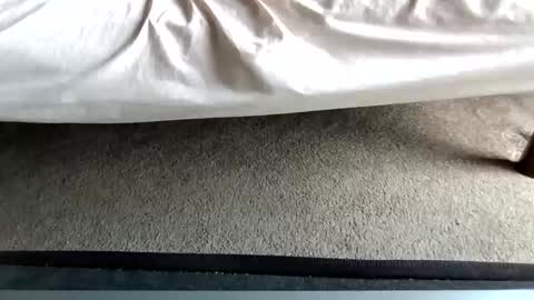 Snapshot of gowiththeflow37 chatting on 05.17.26 watch me stroke online show from 05.17.26