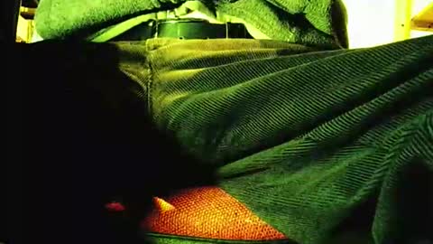 Snapshot of grapefruit chatting on 11.12.25 grapefruit online show from 11.12.25