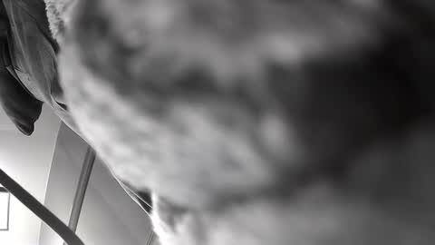 Snapshot of gratiotony chatting on 12.10.24 Get US to 1000 you wont be disapointed online show from 12.10.24