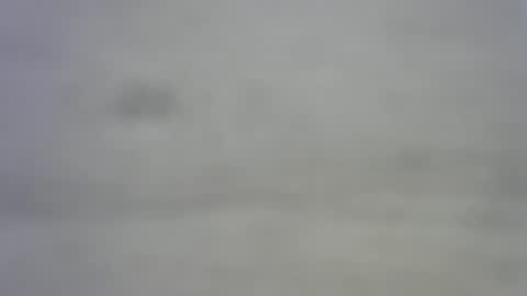 greekmeal1234 online show from 02.27.25