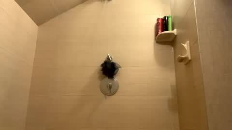 Perfectlyaveragesavage online show from 12.31.24