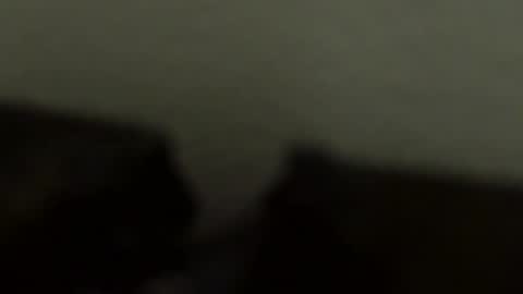 gronnn online show from 01.18.26