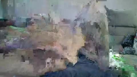 Snapshot of grossmanmeir chatting on 10.05.25 grossmanmeir online show from 10.05.25