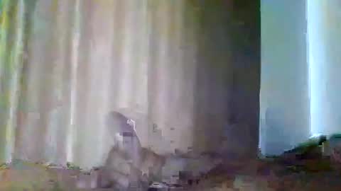 Snapshot of grupalenfection chatting on 02.07.25 grupalenfection online show from 02.07.25