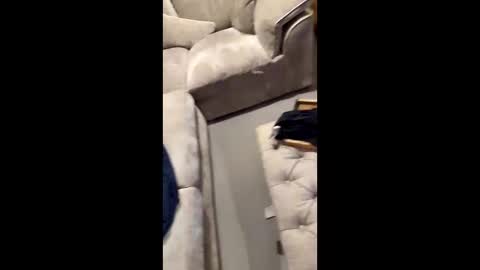 Snapshot of gt79802068 chatting on 11.11.25 gt79802068 online show from 11.11.25