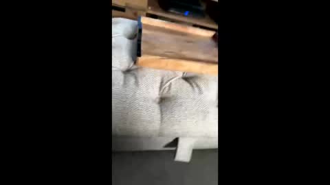 Snapshot of gt79802068 chatting on 11.22.25 gt79802068 online show from 11.22.25