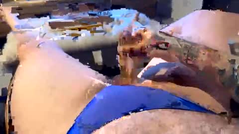 Snapshot of gt79802068 chatting on 01.11.26 gt79802068 online show from 01.11.26