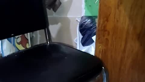 guillermo723 online show from 05.02.26