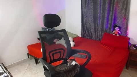 Guts online show from 11.25.25