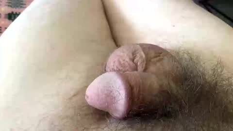 guttersnipe71 online show from 04.01.26