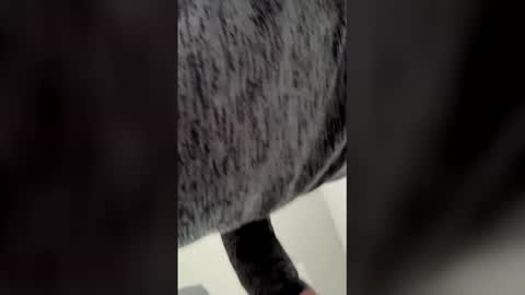 Ricko online show from 03.06.26