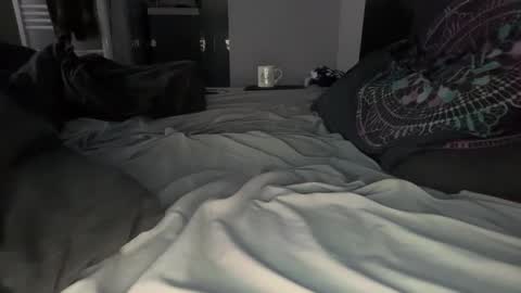 hachikofr online show from 09.21.25