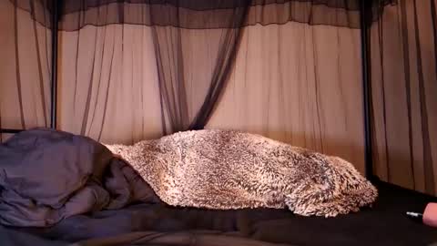 HailWilds online show from 09.12.25