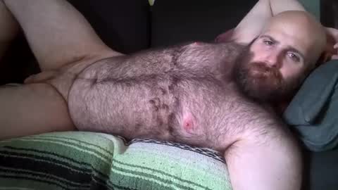 Snapshot of hairiestbear chatting on 08.01.26 Hairiest Bear online show from 08.01.26