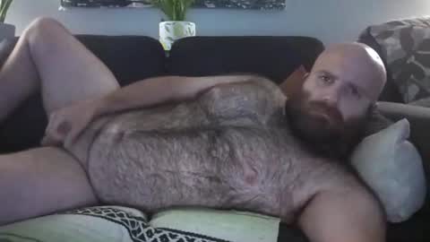 Snapshot of hairiestbear chatting on 08.02.26 Hairiest Bear online show from 08.02.26