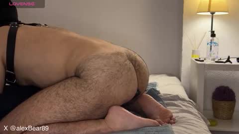 Snapshot of hairyarabbear chatting on 09.13.25 hairyarabbear online show from 09.13.25