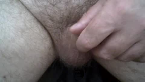Snapshot of hairyman007 chatting on 06.29.26 hairyman007 online show from 06.29.26