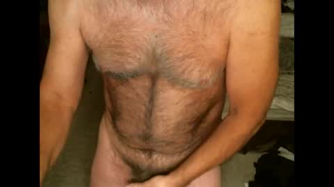 Hairy pecs online show from 02.11.26