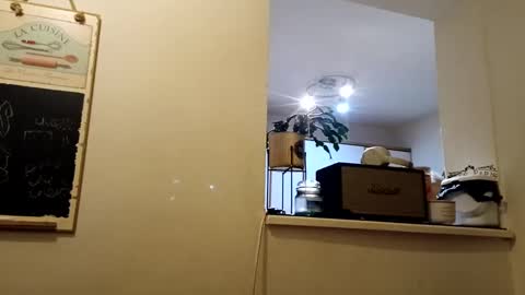 hakfin666 online show from 01.31.25