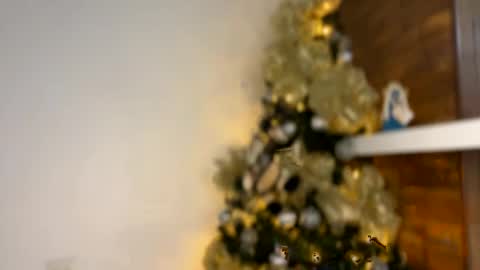 Independent       model  online show from 12.30.24