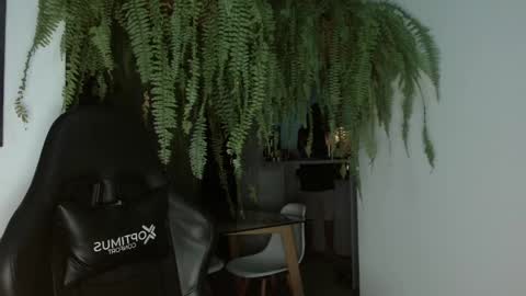 halan online show from 02.26.25