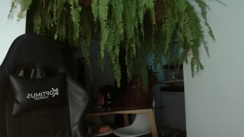 halan online show from 03.05.25