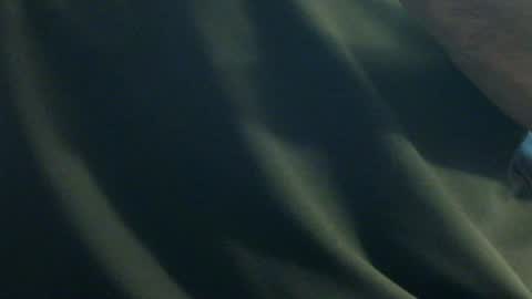 Snapshot of hamhead71 chatting on 12.27.24 hamhead71 online show from 12.27.24